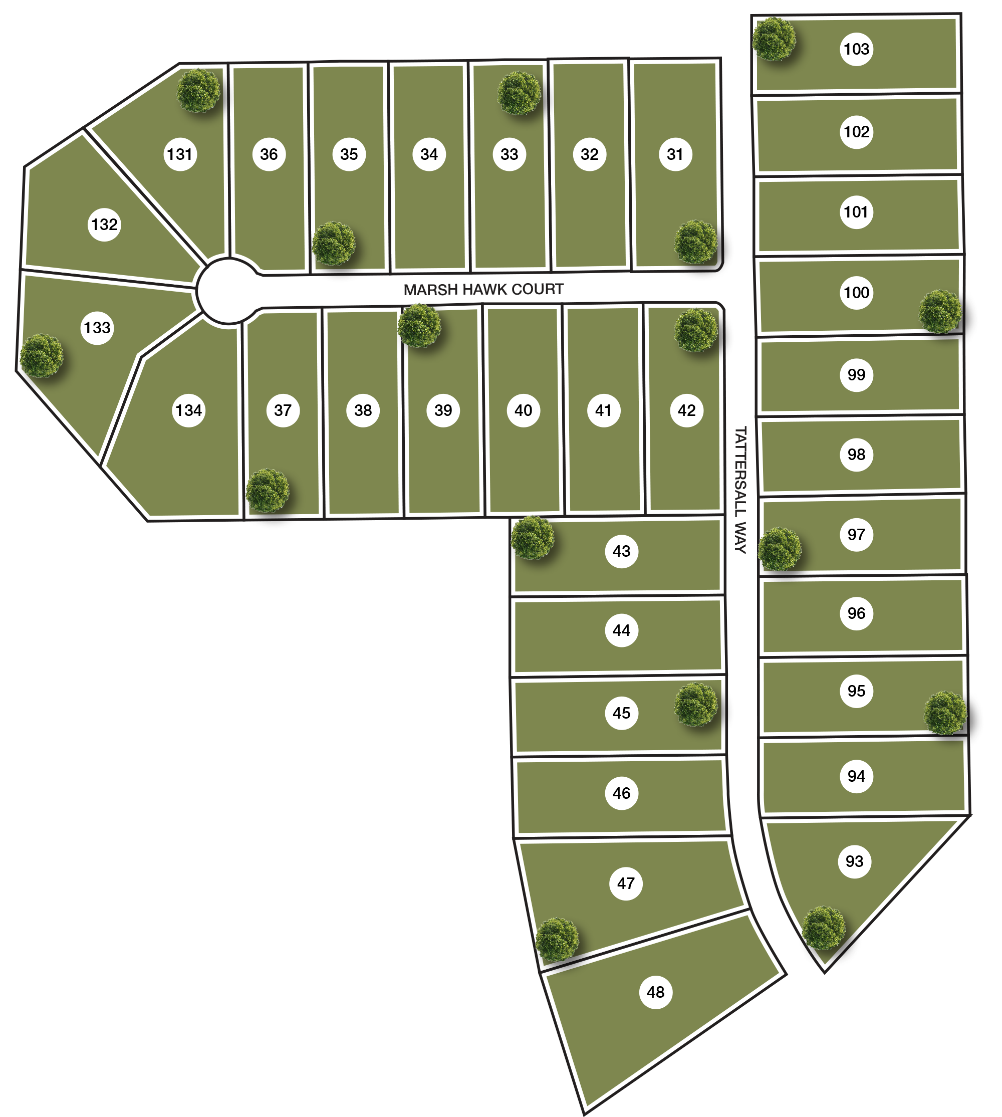 Fox Hall Phase V Site Map