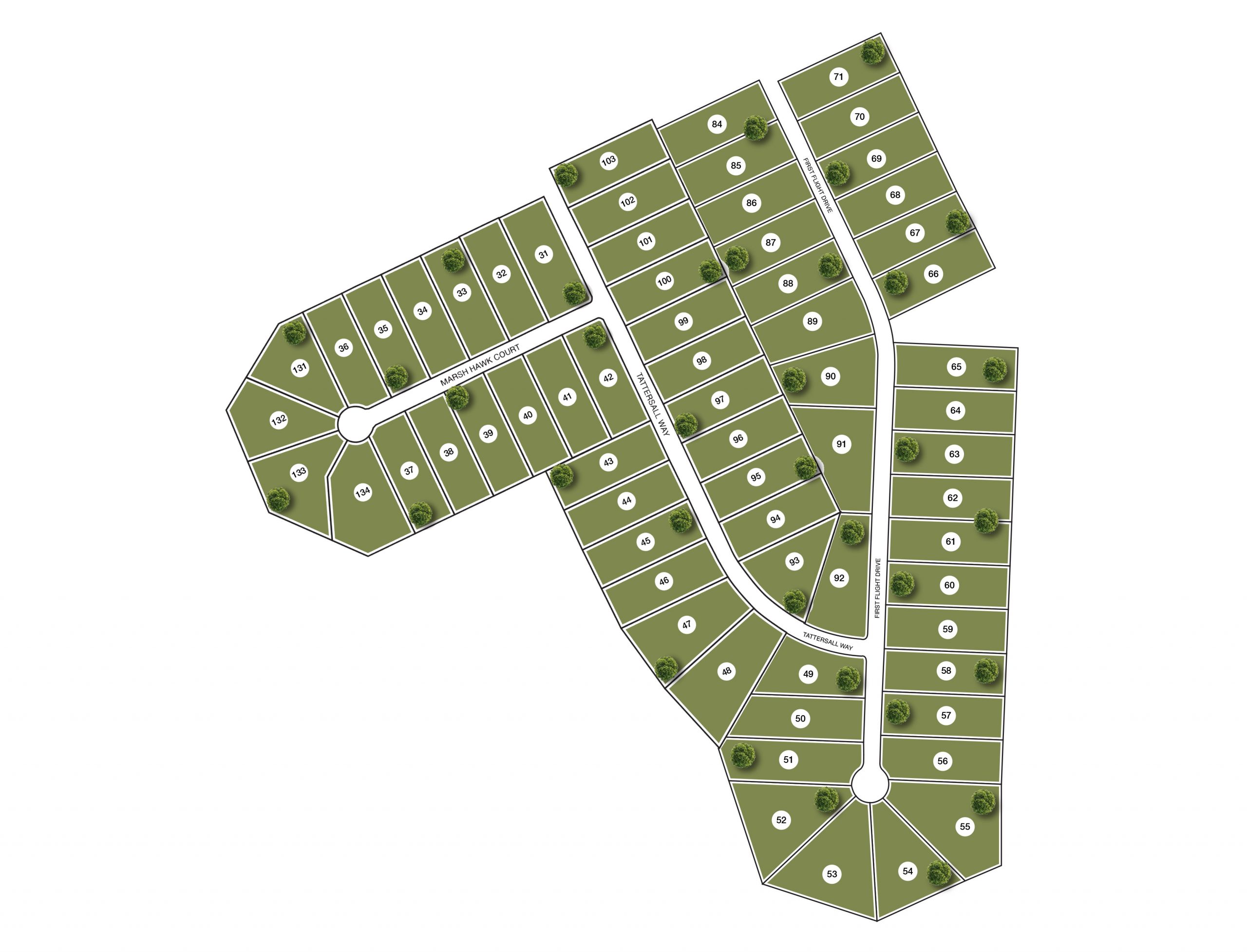 Fox Hall Phase V & VI Site Map