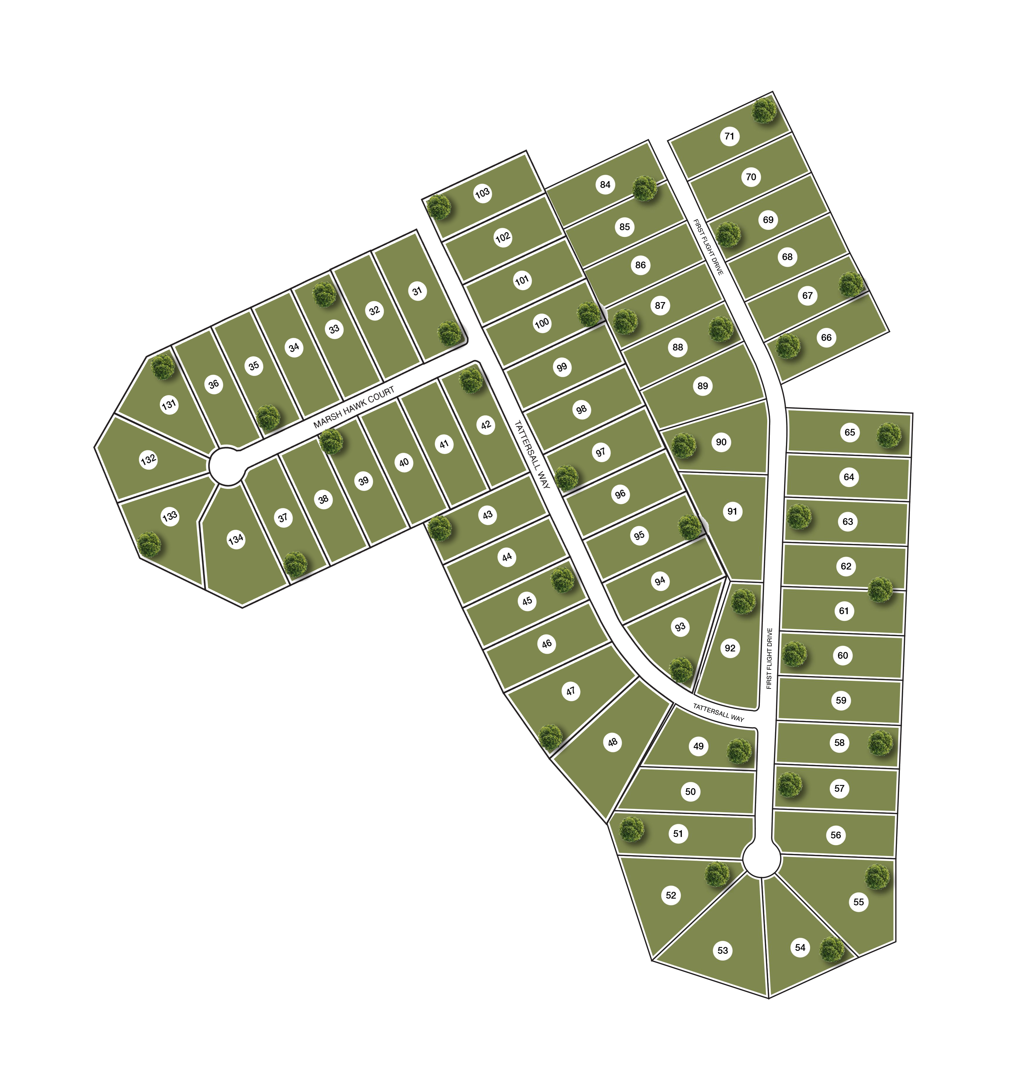 Fox Hall Phase V & VI Site Map